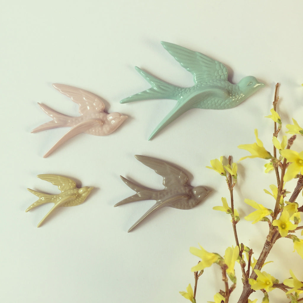 Birds - cafe latte